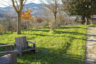 Villa /en/au Fermignano (Pesaro e Urbino)ou appartement ou maison de vacances