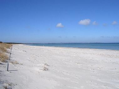 Maison de vacances /en/au Trent (Ostsee-Inseln)ou appartement ou maison de vacances