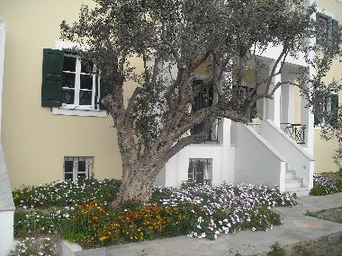 Appartement de vacances �/en/au Syros (Kyklades)ou appartement ou maison de vacances