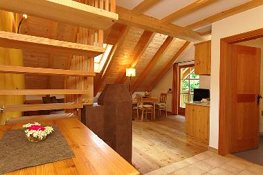 Appartement de vacances /en/au Sand in Taufers (Bolzano-Bozen)ou appartement ou maison de vacances