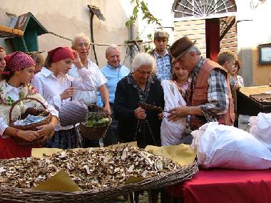 Appartement de vacances /en/au BORGO VAL DI TARO (Parma)ou appartement ou maison de vacances