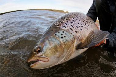 Appartement de vacances /en/au BORGO VAL DI TARO (Parma)ou appartement ou maison de vacances