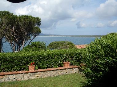 Villa /en/au Ansedonia (Grosseto)ou appartement ou maison de vacances
