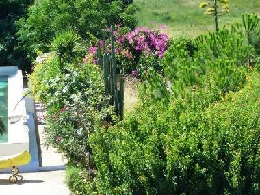 Maison de vacances /en/au Moncarapacho (Algarve)ou appartement ou maison de vacances