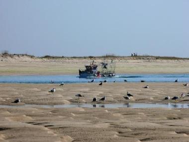 Maison de vacances /en/au Moncarapacho (Algarve)ou appartement ou maison de vacances