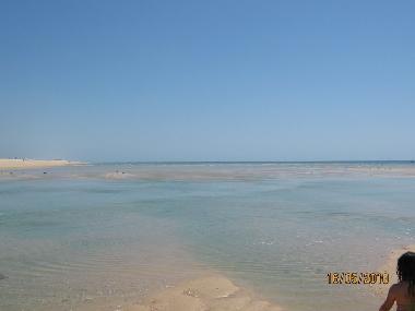 Maison de vacances /en/au Moncarapacho (Algarve)ou appartement ou maison de vacances