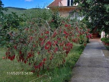 Appartement de vacances �/en/au Kotor (Mont�n�gro)ou appartement ou maison de vacances