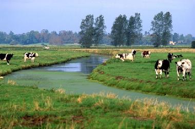Maison de vacances �/en/au SAINTE MERE EGLISE (Manche)ou appartement ou maison de vacances