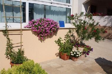 Appartement de vacances �/en/au Mandre (Zadarska)ou appartement ou maison de vacances