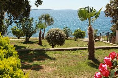 Appartement de vacances �/en/au Mandre (Zadarska)ou appartement ou maison de vacances