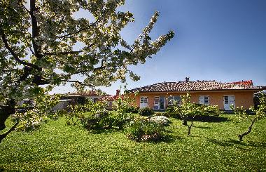 Appartement de vacances �/en/au Izola (Izola)ou appartement ou maison de vacances