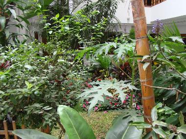 Appartement de vacances �/en/au Miraflores (Lima)ou appartement ou maison de vacances