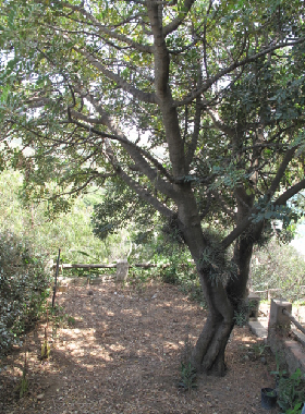 Maison de vacances /en/au Torre delle Stelle (Cagliari)ou appartement ou maison de vacances