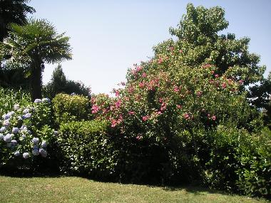 Maison de vacances /en/au Brezzo di Bedero (Varese)ou appartement ou maison de vacances