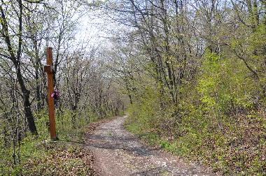 Maison de vacances /en/au Ojcw (Malopolskie)ou appartement ou maison de vacances