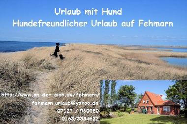 Appartement de vacances /en/au Neujellingsdorf (Insel Fehmarn)ou appartement ou maison de vacances