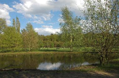 Maison de vacances /en/au BRUGES (Flandre)ou appartement ou maison de vacances
