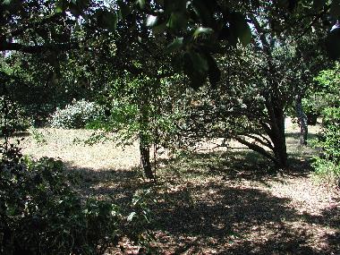 Villa �/en/au Rians (Var)ou appartement ou maison de vacances