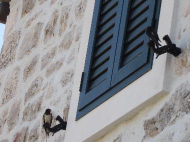 Appartement de vacances �/en/au Milna (Splitsko-Dalmatinska)ou appartement ou maison de vacances