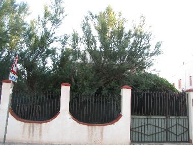 Villa �/en/au Isola delle Femmine (Palermo)ou appartement ou maison de vacances