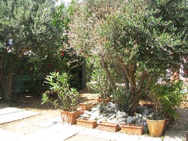 Villa �/en/au Isola delle Femmine (Palermo)ou appartement ou maison de vacances