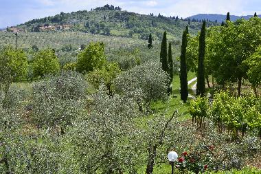 Appartement de vacances /en/au Rignano Sull