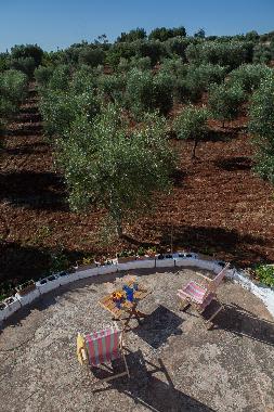 Maison de vacances /en/au Ostuni (Brindisi)ou appartement ou maison de vacances