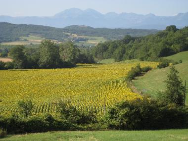 Maison de vacances �/en/au Manses (Ari�ge)ou appartement ou maison de vacances