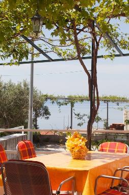 Villa /en/au Podgora (Splitsko-Dalmatinska)ou appartement ou maison de vacances