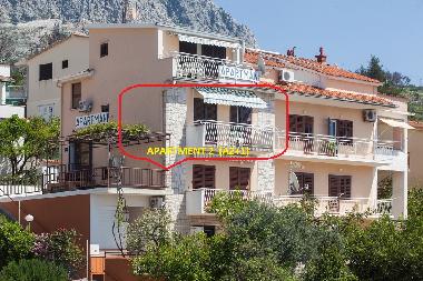 Appartement de vacances �/en/au Podgora (Splitsko-Dalmatinska)ou appartement ou maison de vacances