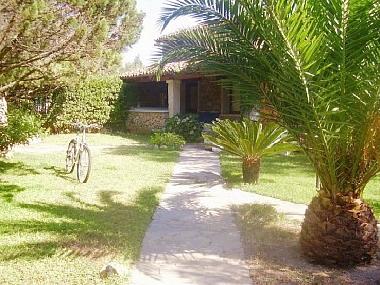 Villa �/en/au Porto Rotondo (Olbia-Tempio)ou appartement ou maison de vacances