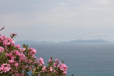 Appartement de vacances /en/au Gioiosa Marea (Messina)ou appartement ou maison de vacances