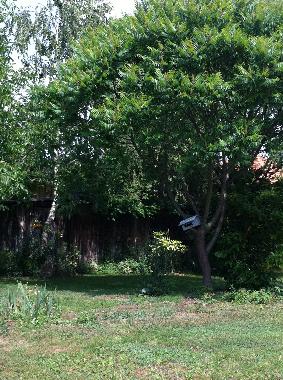 Maison de vacances �/en/au gy�k�nyes (Somogy)ou appartement ou maison de vacances