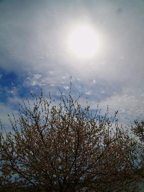 Maison de vacances /en/au SYROS (Kyklades)ou appartement ou maison de vacances