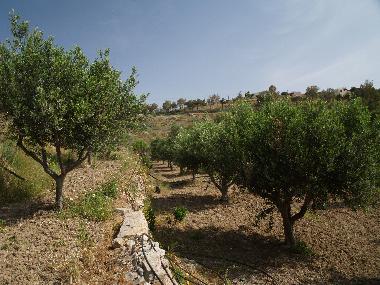 Maison de vacances /en/au SYROS (Kyklades)ou appartement ou maison de vacances