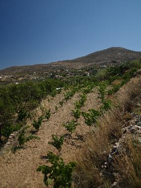 Maison de vacances /en/au SYROS (Kyklades)ou appartement ou maison de vacances