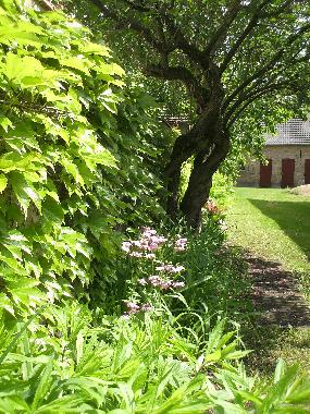 Appartement de vacances �/en/au Rheinsberg (Ostprignitz-Ruppin)ou appartement ou maison de vacances