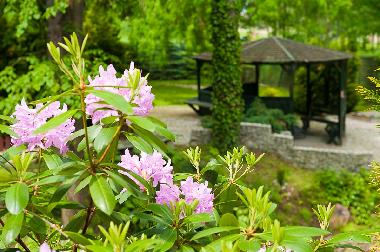 Villa /en/au Bad Flinsberg (Dolnoslaskie)ou appartement ou maison de vacances