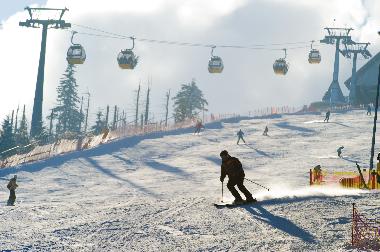 Villa /en/au Bad Flinsberg (Dolnoslaskie)ou appartement ou maison de vacances