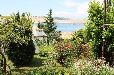 Appartement de vacances �/en/au Jadranovo (Primorsko-Goranska)ou appartement ou maison de vacances