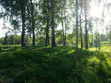 Maison de vacances �/en/au Mullsj� (Smaland)ou appartement ou maison de vacances