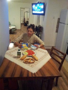 Maison de vacances �/en/au sancel (Sibiu)ou appartement ou maison de vacances