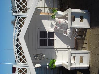 Maison de vacances �/en/au Otterup (Fyn)ou appartement ou maison de vacances