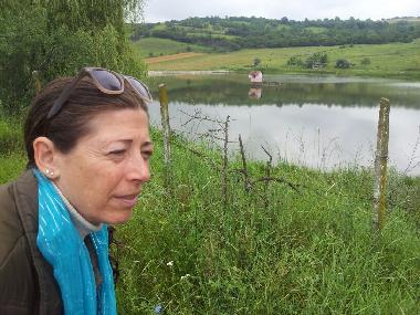 Maison de vacances �/en/au sancel (Sibiu)ou appartement ou maison de vacances