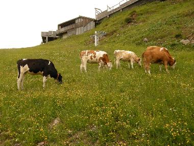 Appartement de vacances /en/au Hermagor (Unterkrnten)ou appartement ou maison de vacances