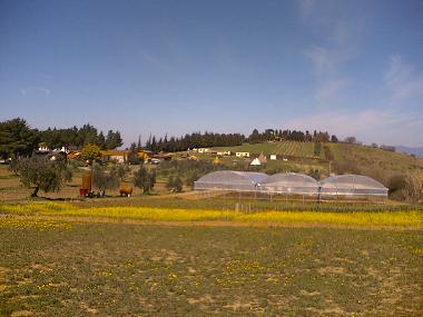 Chambre avec petit djeuner /en/au Collesalvetti - Crocino (Livorno)ou appartement ou maison de vacances