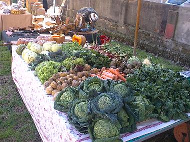 Chambre avec petit djeuner /en/au Collesalvetti - Crocino (Livorno)ou appartement ou maison de vacances