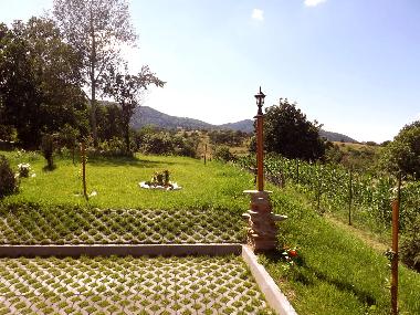 Appartement de vacances �/en/au Vale (Sibiu)ou appartement ou maison de vacances