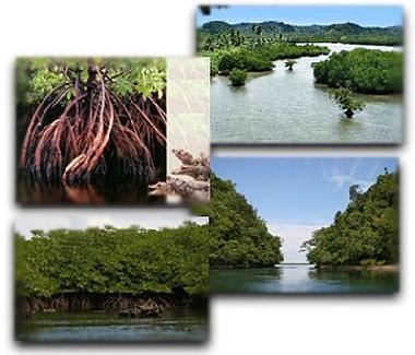 Chambre avec petit d�jeuner �/en/au San Isidro (Surigao del Norte)ou appartement ou maison de vacances