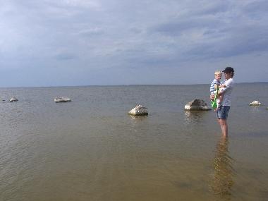 Maison de vacances /en/au Nowe Warpno (Pomorskie)ou appartement ou maison de vacances